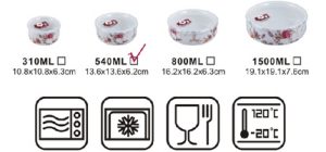 vacuum sealed container in sizes 